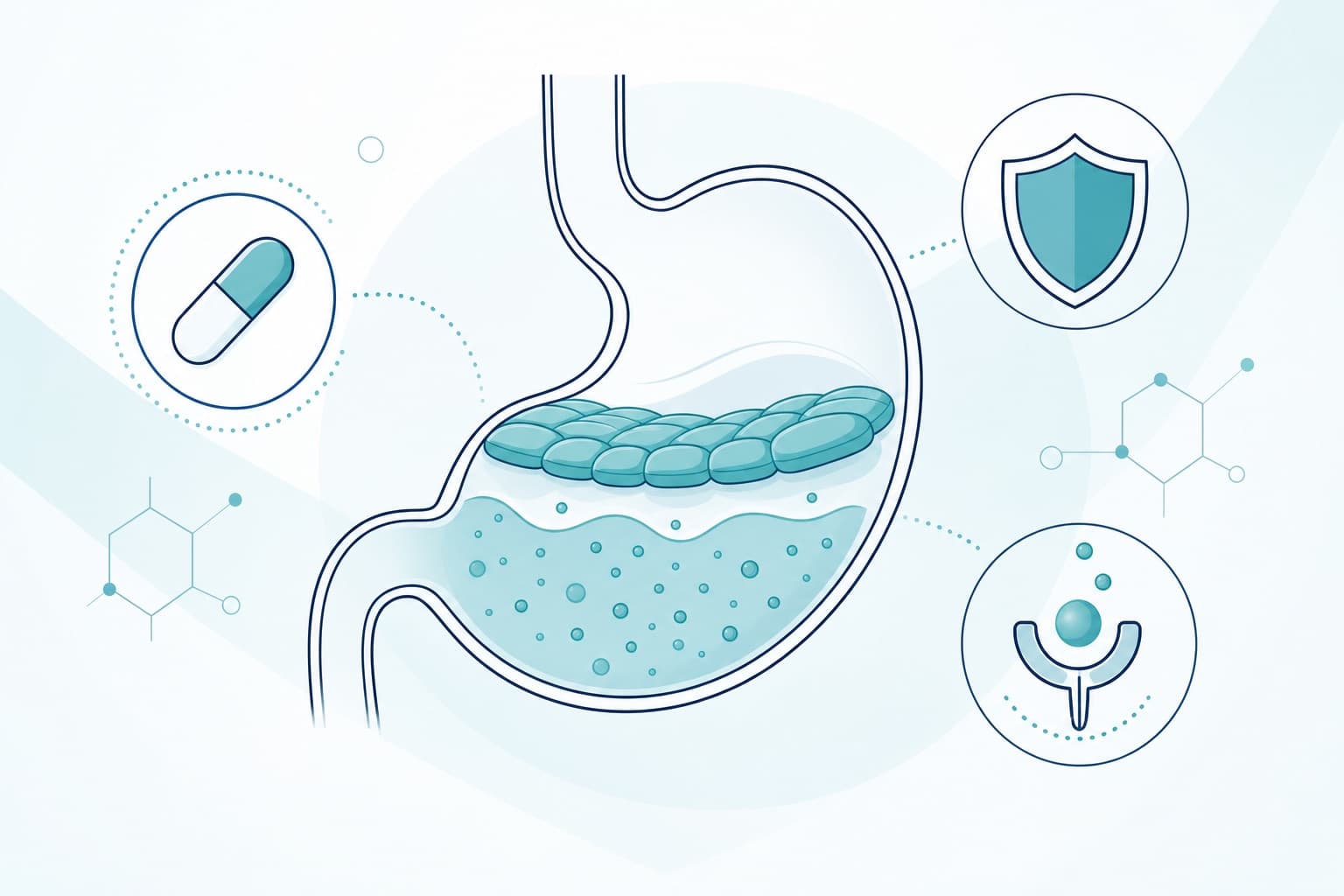 Illustrazione schematica: Farmaci per il reflusso: antiacidi, alginati, H2 e PPI